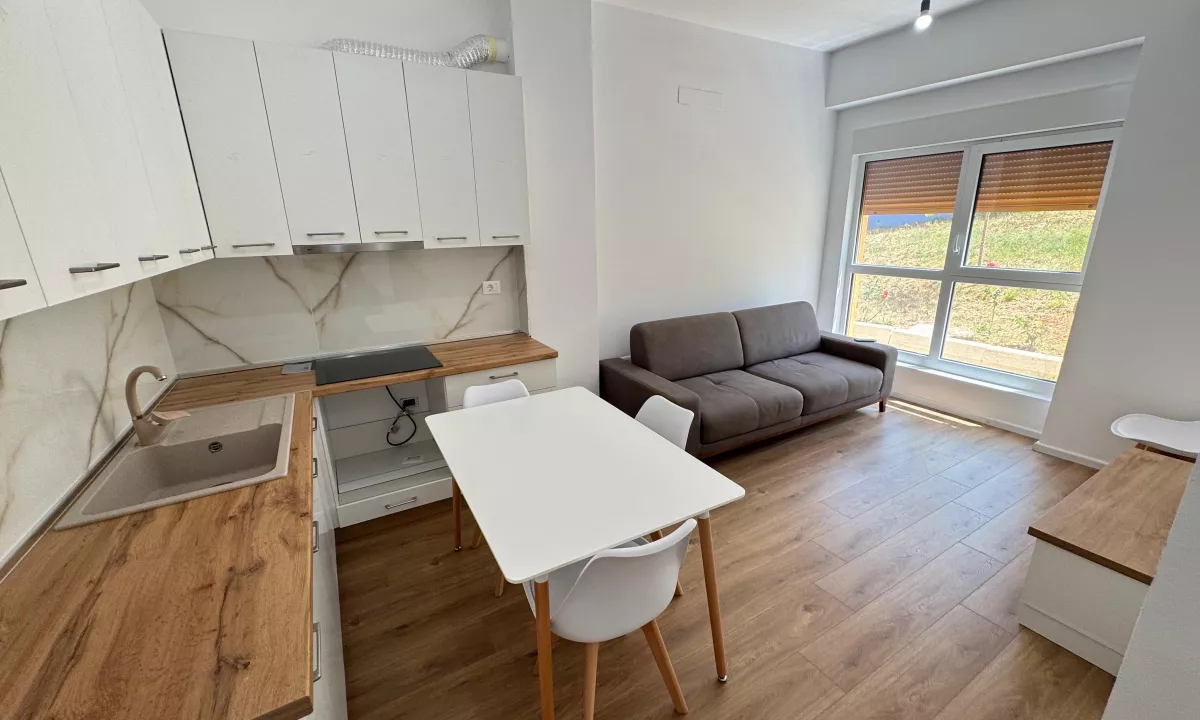 Shtepi me qera Apartament ne Tirane, 1+1, Mobilimi E mobiluar, Pagesa 400  Euro.