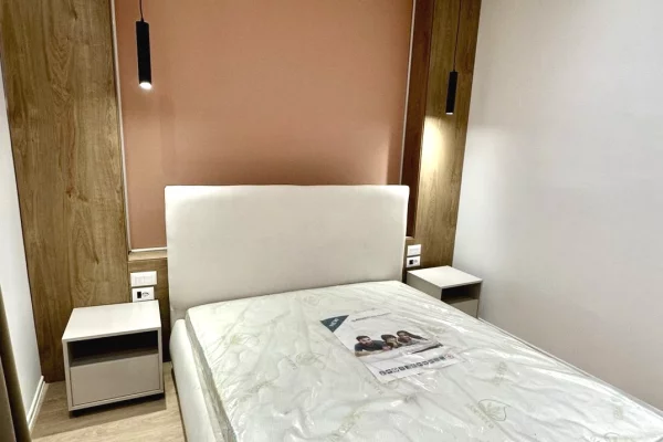 Shtepi me qera Apartament ne Tirane, 1+1, Mobilimi E mobiluar, Pagesa 600  Euro.