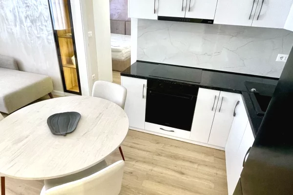 Shtepi me qera Apartament ne Tirane, 1+1, Mobilimi E mobiluar, Pagesa 600  Euro.