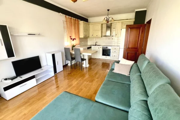 Apartment for rent in Tirana 1+1, Furnished