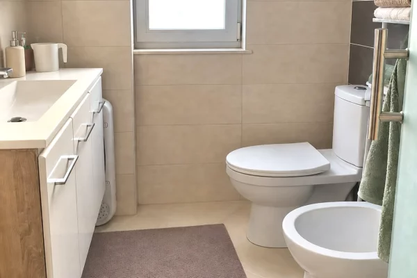 Shtepi me qera Apartament ne Tirane, 1+1, Mobilimi E mobiluar, Pagesa 50,000  Leke.
