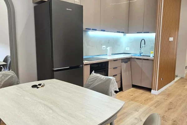 Shtepi me qera Apartament ne Tirane, 1+1, Mobilimi E mobiluar, Pagesa 50,000  Leke.