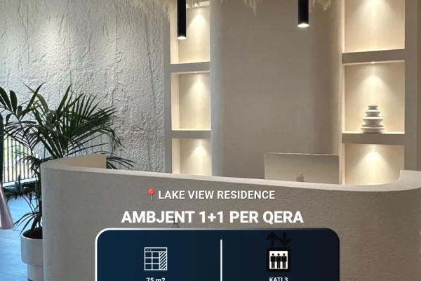 Ambient biznesi me qera 3+1 ne Tirane - 80,000 Leke