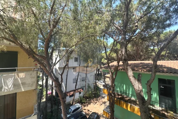 Shtepi ne shitje Apartament ne Durres, 1+1, Mobilimi E mobiluar, Pagesa 95,000  Euro.