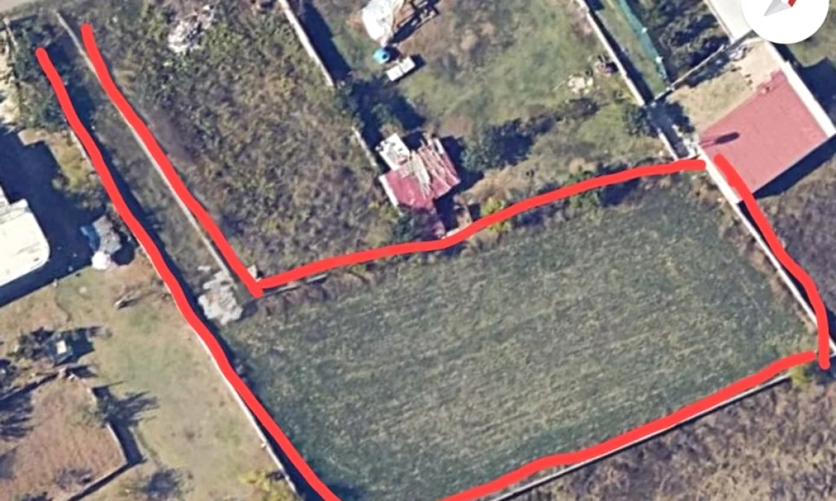 Shitet Toke ne Prush, Tirane 