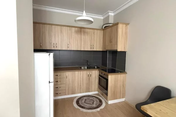 Shtepi me qera Apartament ne Tirane, 1+1, Mobilimi E mobiluar, Pagesa 650  Euro.