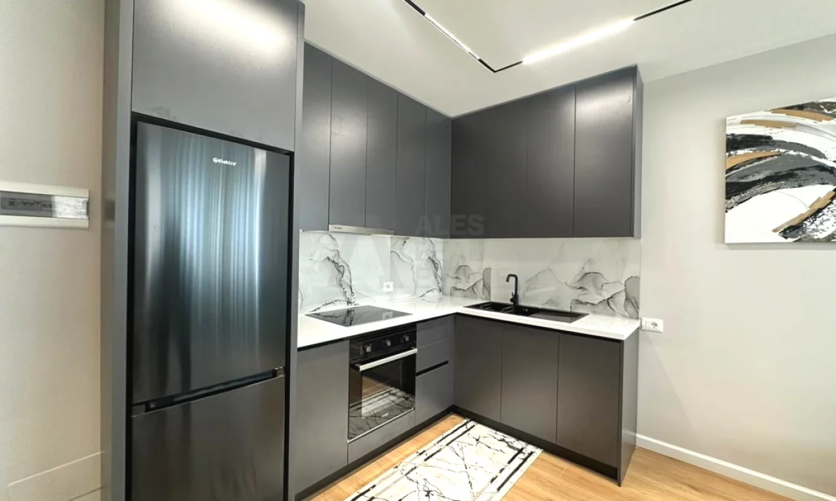 Shtepi ne shitje Apartament ne Tirane, 1+1, Mobilimi E mobiluar, Pagesa 121,000  Euro.