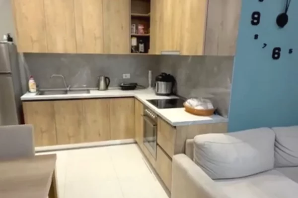 Shtepi me qera Apartament ne Tirane, 1+1, Mobilimi E mobiluar, Pagesa 50,000  Leke.