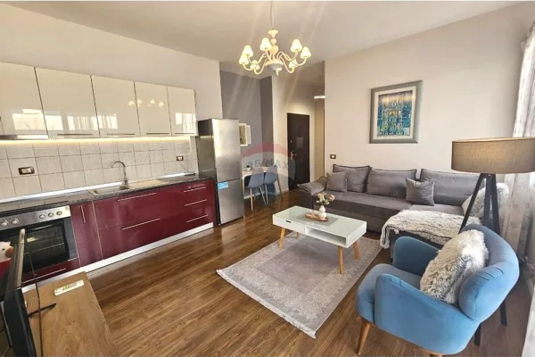 House for Rent 1+1 in Tirana - 65,000 Leke