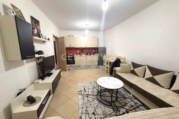 Shtepi ne shitje Apartament ne Tirane, 2+1, Mobilimi E mobiluar, Pagesa 113,000  Euro.