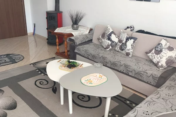 Shtepi ne shitje Apartament ne Pogradec, 1+1, Mobilimi E mobiluar, Pagesa 90,000  Euro.