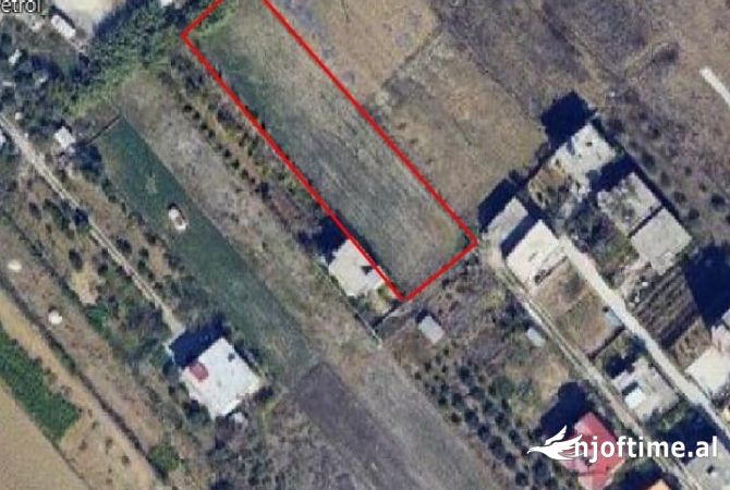 SHITET TOKE NE SHKALLNUR DURRES