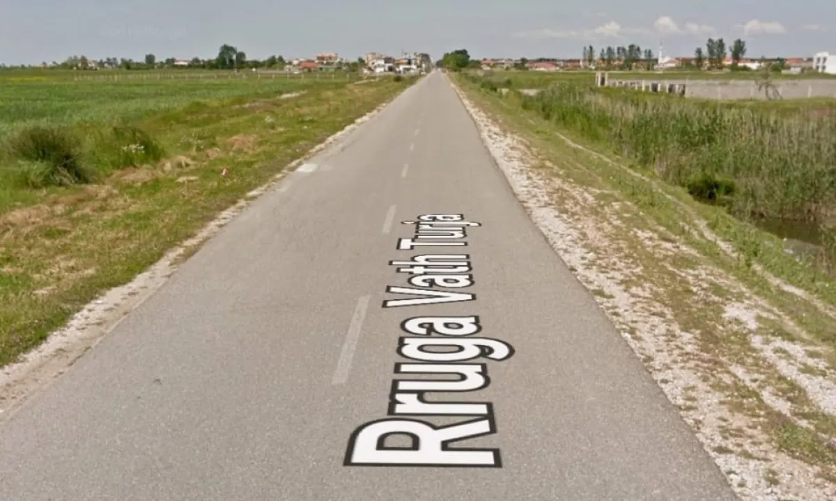 SHITET TOKE BUZE RRUGE NE SEKTORIN “RINIA”, PORTO ROMANO