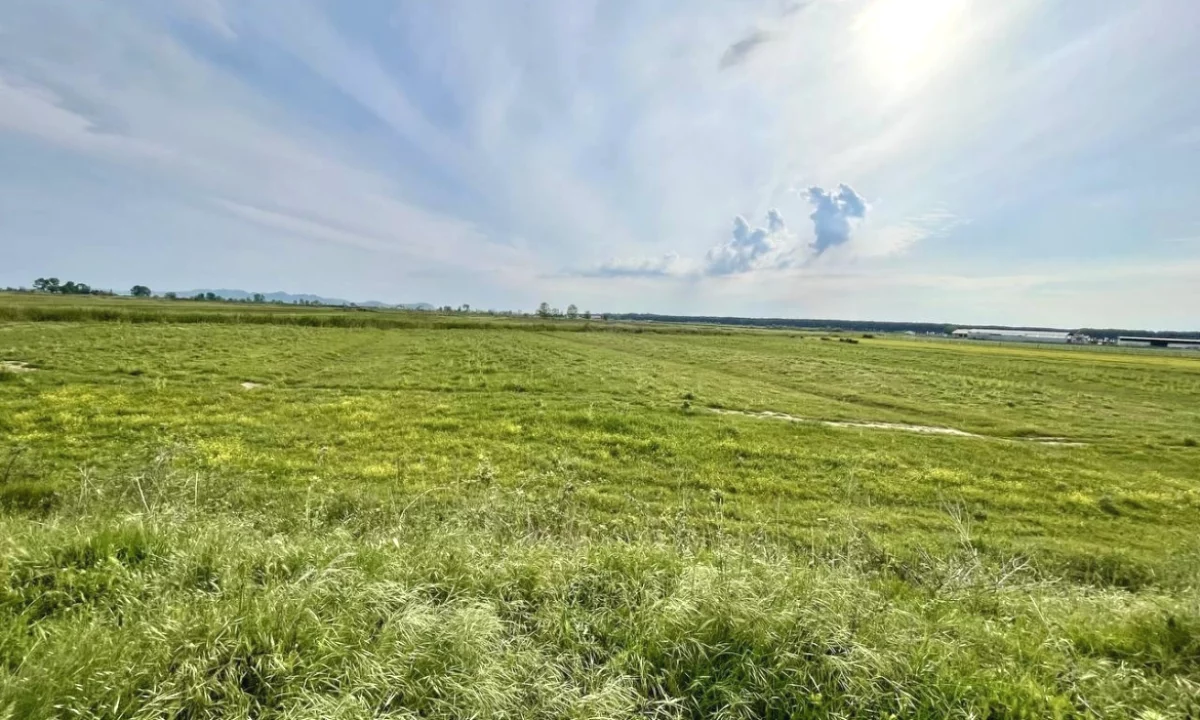 SHITET TOKE ARE. NE FLLAKE, DURRES