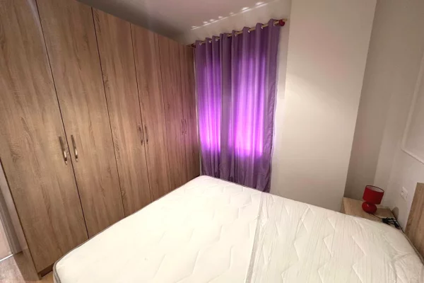 House for Rent 1+1 in Tirana - 55,000 Leke