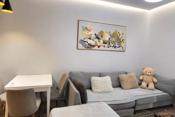 Shtepi ne shitje 1+1 ne Tirane - 240,000 Euro