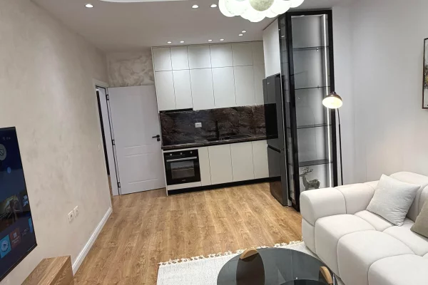 Shtepi ne shitje Apartament ne Tirane, 1+1, Mobilimi E mobiluar, Pagesa 109,000  Euro.
