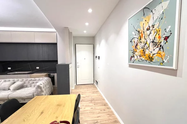 Shtepi me qera Apartament ne Tirane, 1+1, Mobilimi E mobiluar, Pagesa 80,000  Leke.