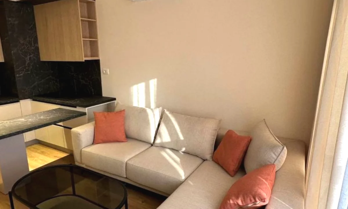 Shtepi me qera Apartament ne Tirane, 1+1, Mobilimi E mobiluar, Pagesa 45,000  Leke.