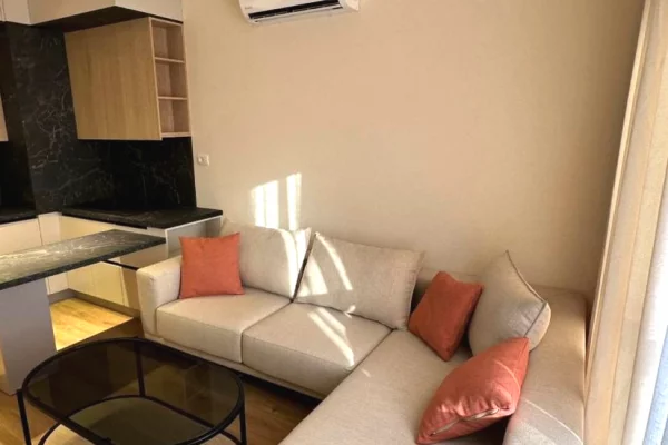 Shtepi me qera 1+1 ne Tirane - 45,000 Leke