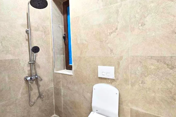  Ambient Biznesi me Qira – Astir (perballe Vila L)