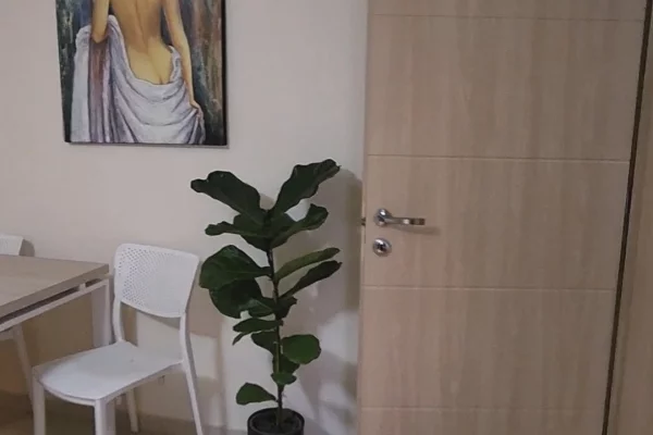 Appartamento in vendita a Tirana 1+1, Arredato