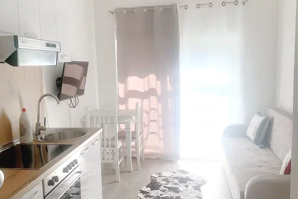 House for Rent 1+1 in Tirana - 40,000 Leke