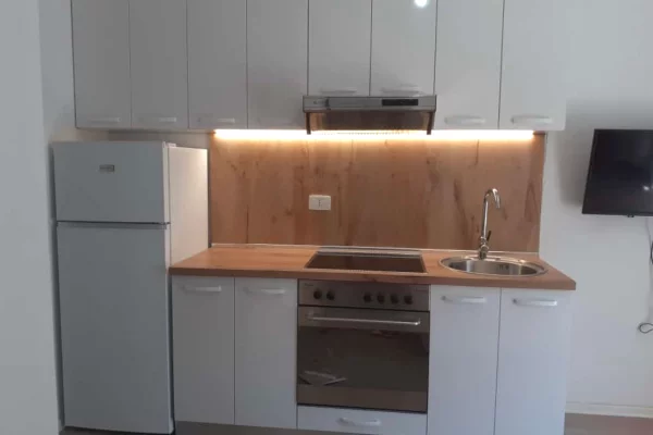 Apartment for rent in Tirana 1+1, Furnished