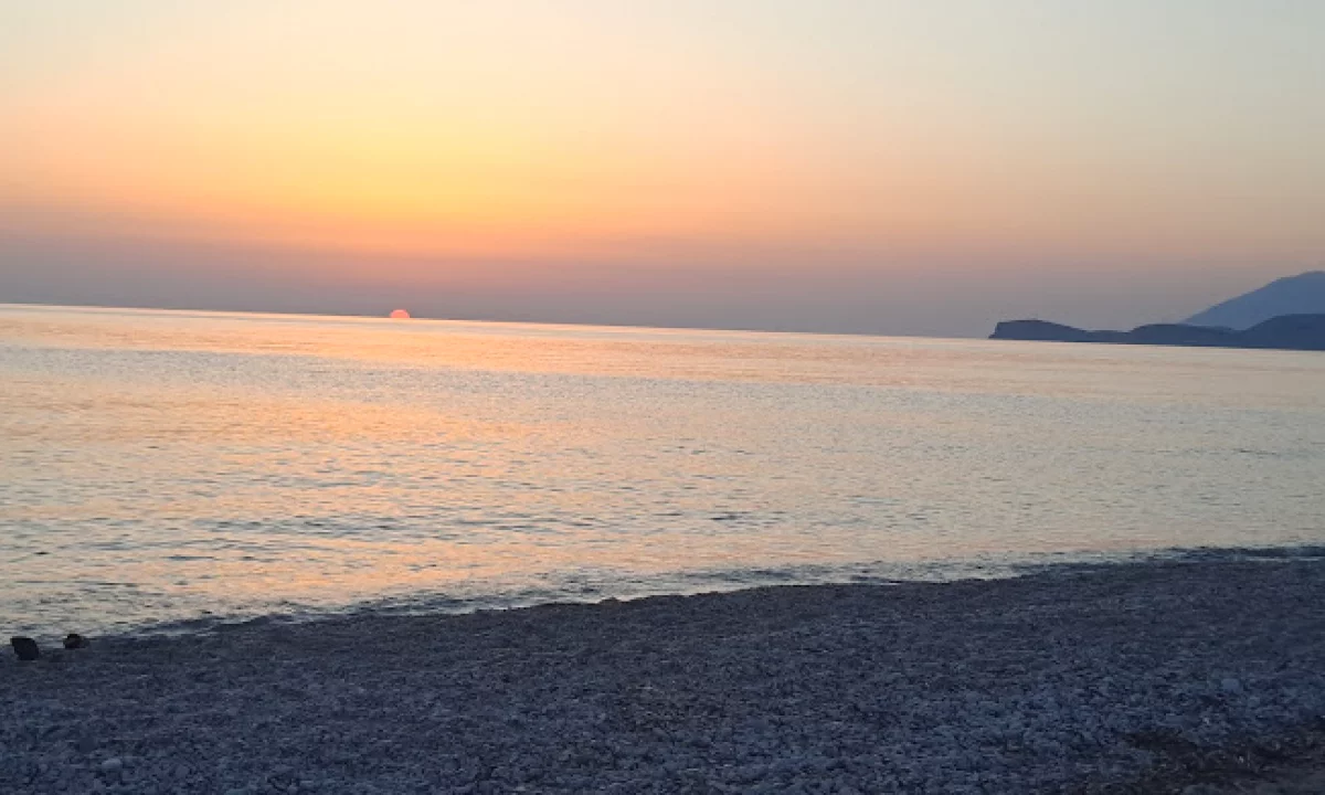 🌿 SHITET TOKE — BORSH 🏖️