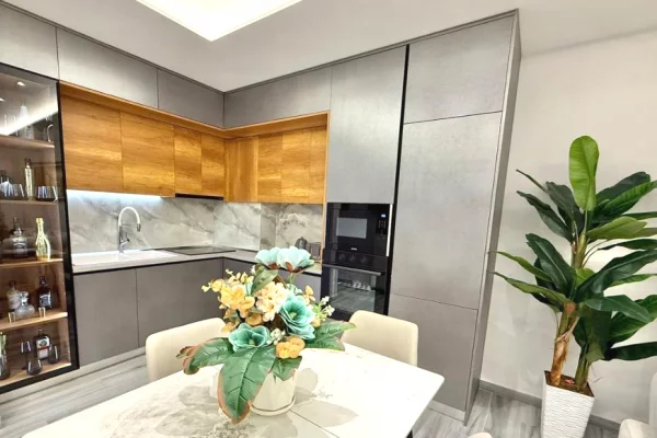 Shtepi me qera Apartament ne Tirane, 2+1, Mobilimi E mobiluar, Pagesa 55,000  Leke.