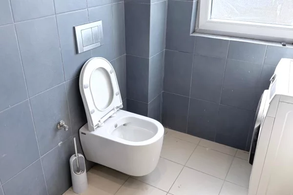 Shtepi me qera Apartament ne Tirane, 1+1, Mobilimi E mobiluar, Pagesa 47,000  Leke.