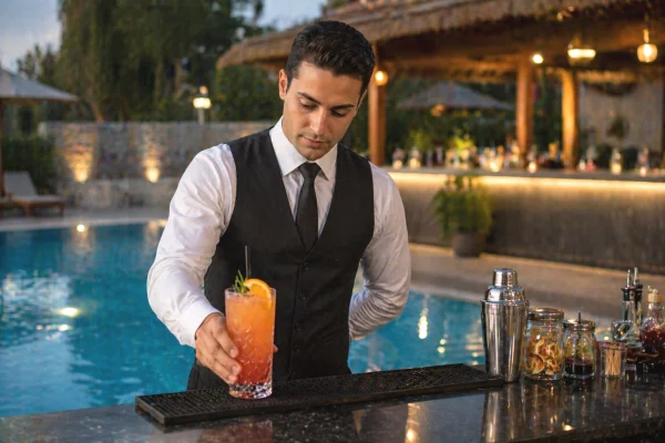 Job Offers for Barkeeper in Tirana