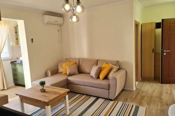 Shtepi ne shitje Apartament ne Tirane, 1+1, Mobilimi E mobiluar, Pagesa 8,500,000  Leke.