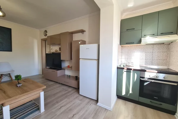 Shtepi ne shitje Apartament ne Tirane, 1+1, Mobilimi E mobiluar, Pagesa 8,500,000  Leke.