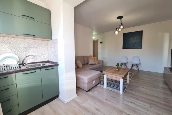 Shtepi ne shitje Apartament ne Tirane, 1+1, Mobilimi E mobiluar, Pagesa 8,500,000  Leke.