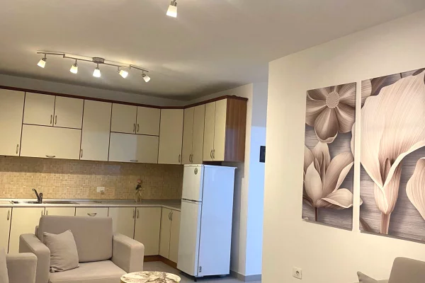 Casa in affitto 2+1 a Tirana - 600 Euro
