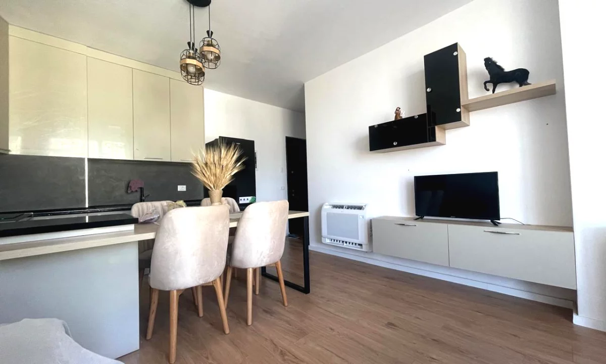 Shtepi me qera Apartament ne Tirane, 1+1, Mobilimi E mobiluar, Pagesa 63,000  Leke.