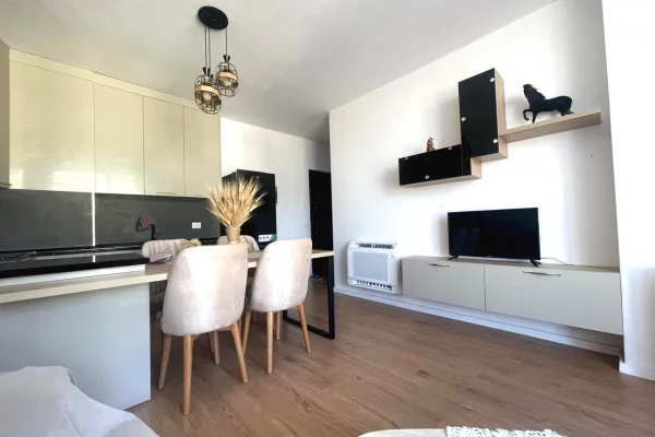 Shtepi me qera 1+1 ne Tirane - 63,000 Leke