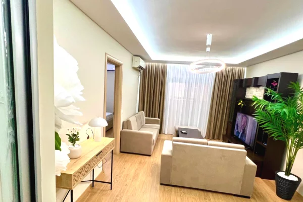 Shtepi me qera 1+1 ne Tirane - 55,000 Leke