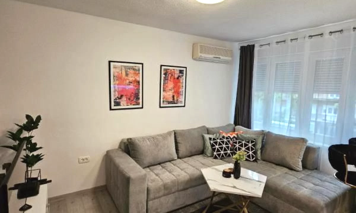 Shtepi me qera Apartament ne Tirane, 1+1, Mobilimi E mobiluar, Pagesa 500  Euro.