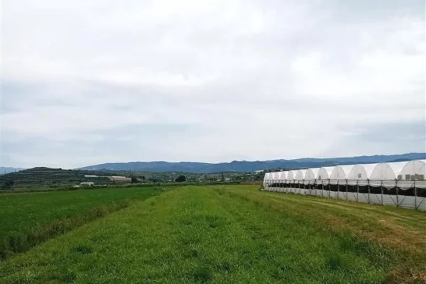 Terreno in vendita a Berat - 1,500,000 Leke