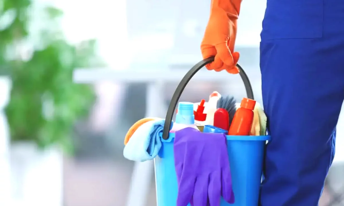 Offerte di lavoro a Tirana, Profession Pastruese , Principiante/Poca esperienza, Pagamento 50,000  Leke.