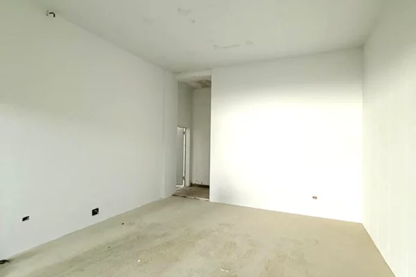 Luxury villas for sale in Tirana 3+1, Emty