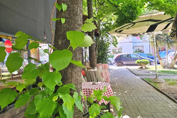 Shitet Biznes Bar–Piceri!