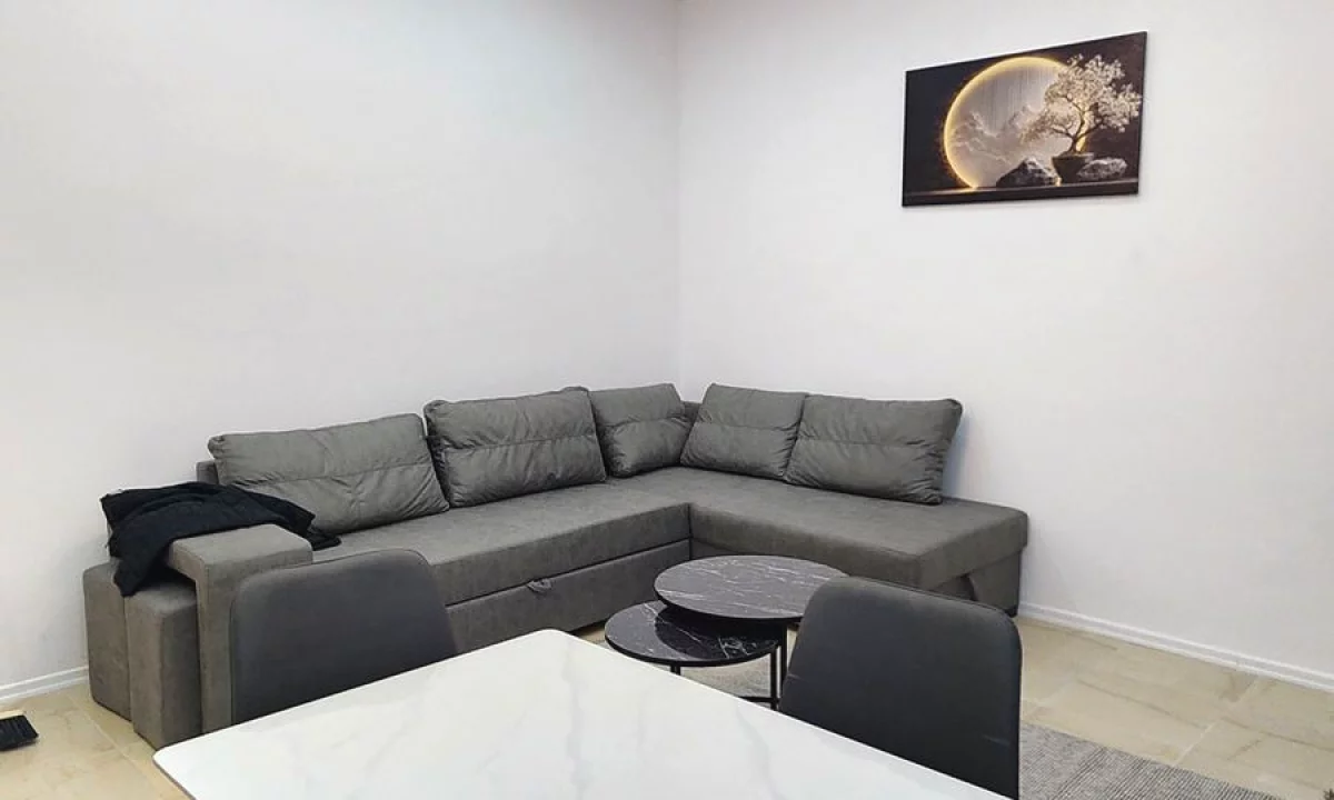 Shtepi me qera Apartament ne Tirane, 1+1, Mobilimi E mobiluar, Pagesa 500  Euro.