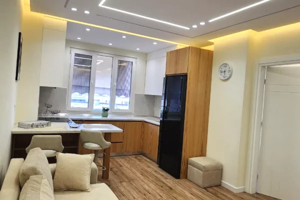 Shtepi me qera Apartament ne Tirane, 1+1, Mobilimi E mobiluar, Pagesa 60,000  Leke.