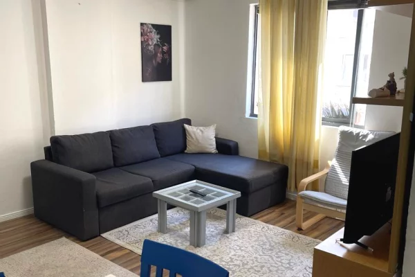 Shtepi ne shitje Apartament ne Tirane, Garsoniere, Mobilimi Pjeserisht e mobiluar, Pagesa 99,000  Euro.