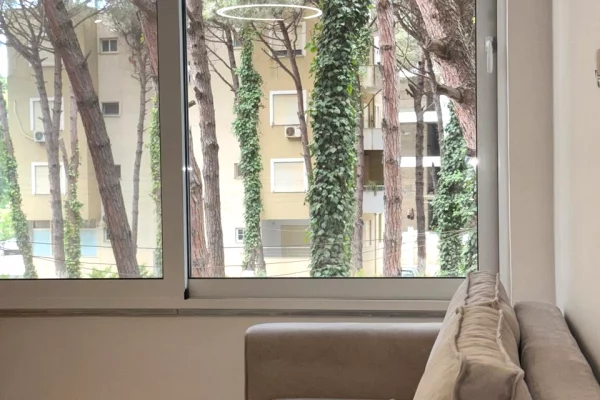 Shtepi ne shitje Apartament ne Durres, Garsoniere, Mobilimi E mobiluar, Pagesa 60,000  Euro.