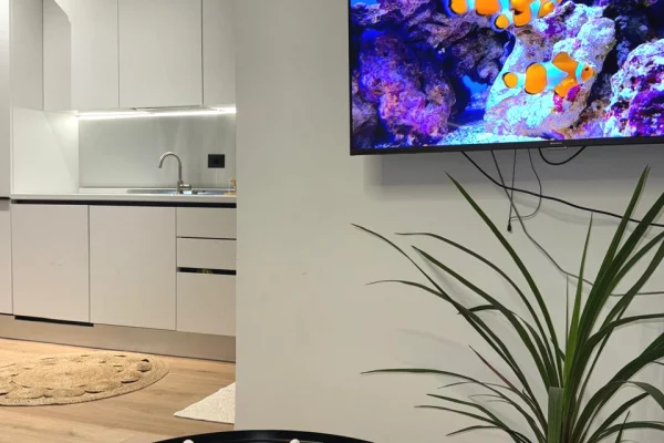 Shtepi ne shitje Apartament ne Durres, Garsoniere, Mobilimi E mobiluar, Pagesa 60,000  Euro.