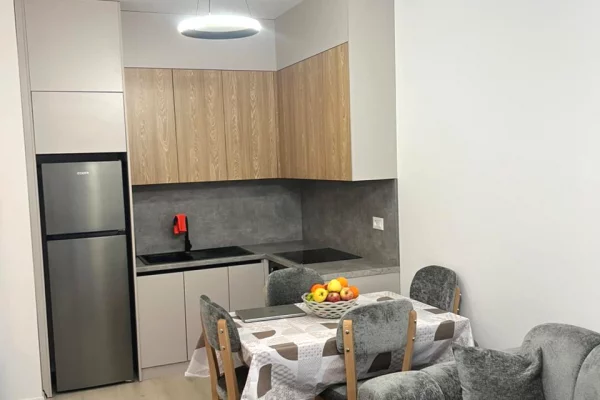 Shtepi me qera Apartament ne Tirane, 1+1, Mobilimi E mobiluar, Pagesa 40,000  Leke.